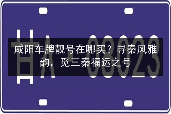 咸阳车牌靓号在哪买？寻秦风雅韵，觅三秦福运之号 第2张