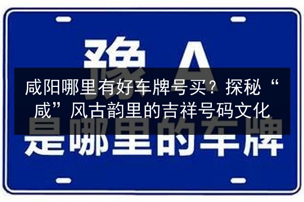 咸阳哪里有好车牌号买?探秘“咸”风古韵里的吉祥号码文化 第2张 咸阳哪里有好车牌号买?探秘“咸”风古韵里的吉祥号码文化 第2张
