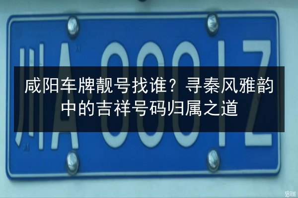 咸阳车牌靓号找谁?寻秦风雅韵中的吉祥号码归属之道 第2张 咸阳车牌靓号找谁?寻秦风雅韵中的吉祥号码归属之道 第2张