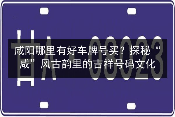 咸阳哪里有好车牌号买?探秘“咸”风古韵里的吉祥号码文化 第3张 咸阳哪里有好车牌号买?探秘“咸”风古韵里的吉祥号码文化 第3张