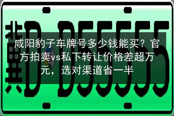 咸阳豹子车牌号多少钱能买？官方拍卖vs私下转让价格差超万元，选对渠道省一半 第2张