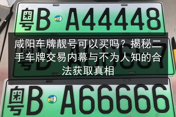 咸阳车牌靓号可以买吗?揭秘二手车牌交易内幕与不为人知的合法获取真相 第1张 咸阳车牌靓号可以买吗?揭秘二手车牌交易内幕与不为人知的合法获取真相 第1张