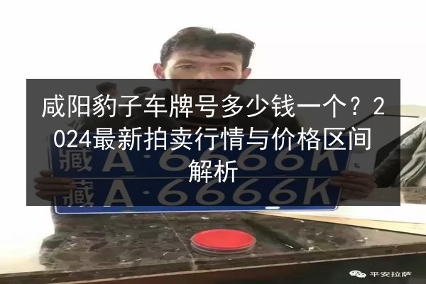 咸阳豹子车牌号多少钱一个？2024最新拍卖行情与价格区间解析 第3张