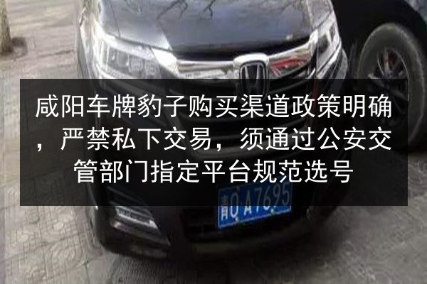咸阳车牌豹子购买渠道政策明确，严禁私下交易，须通过公安交管部门指定平台规范选号 第2张