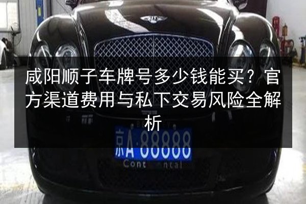 咸阳顺子车牌号多少钱能买?官方渠道费用与私下交易风险全解析 第2张 咸阳顺子车牌号多少钱能买?官方渠道费用与私下交易风险全解析 第2张