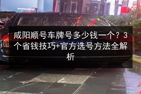 咸阳顺号车牌号多少钱一个？3个省钱技巧+官方选号方法全解析 第2张