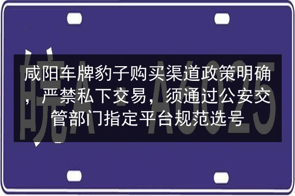 咸阳车牌豹子购买渠道政策明确，严禁私下交易，须通过公安交管部门指定平台规范选号 第3张