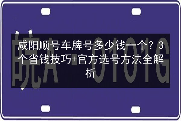 咸阳顺号车牌号多少钱一个？3个省钱技巧+官方选号方法全解析 第3张