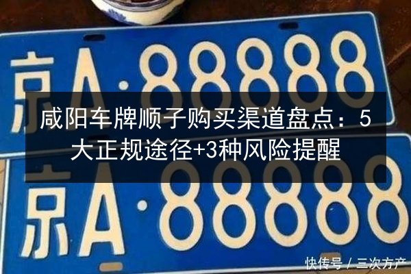 咸阳车牌顺子购买渠道盘点：5大正规途径+3种风险提醒 第3张