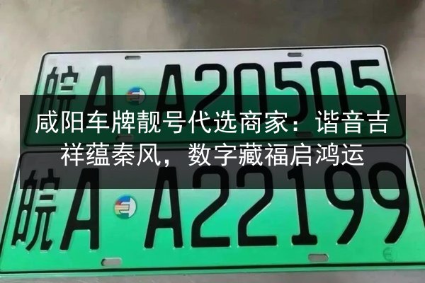 咸阳车牌靓号代选商家：谐音吉祥蕴秦风，数字藏福启鸿运 第3张