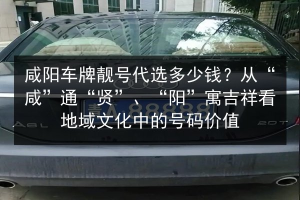 咸阳车牌靓号代选多少钱？从“咸”通“贤”、“阳”寓吉祥看地域文化中的号码价值 第1张