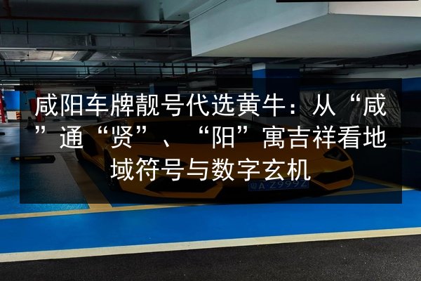 咸阳车牌靓号代选黄牛:从“咸”通“贤”、“阳”寓吉祥看地域符号与数字玄机 第2张 咸阳车牌靓号代选黄牛:从“咸”通“贤”、“阳”寓吉祥看地域符号与数字玄机 第2张