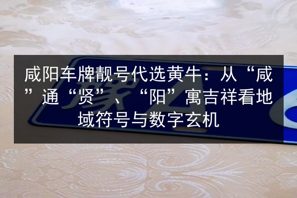 咸阳车牌靓号代选黄牛:从“咸”通“贤”、“阳”寓吉祥看地域符号与数字玄机 第3张 咸阳车牌靓号代选黄牛:从“咸”通“贤”、“阳”寓吉祥看地域符号与数字玄机 第3张