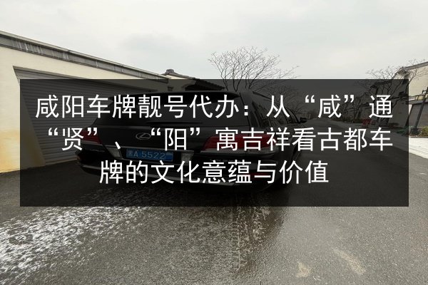 咸阳车牌靓号代办:从“咸”通“贤”、“阳”寓吉祥看古都车牌的文化意蕴与价值 第3张 咸阳车牌靓号代办:从“咸”通“贤”、“阳”寓吉祥看古都车牌的文化意蕴与价值 第3张