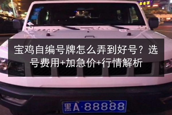 宝鸡自编号牌怎么弄到好号?选号费用+加急价+行情解析 第1张 宝鸡自编号牌怎么弄到好号?选号费用+加急价+行情解析 第1张