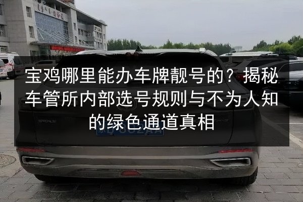 宝鸡哪里能办车牌靓号的？揭秘车管所内部选号规则与不为人知的绿色通道真相