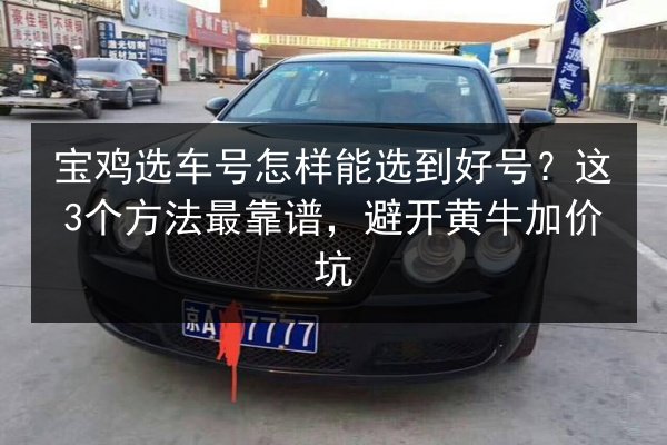 宝鸡选车号怎样能选到好号？这3个方法最靠谱，避开黄牛加价坑 第3张