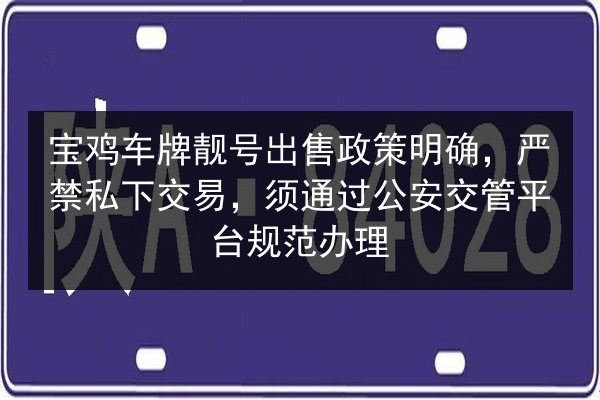 宝鸡车牌靓号出售政策明确,严禁私下交易,须通过公安交管平台规范办理 第2张 宝鸡车牌靓号出售政策明确,严禁私下交易,须通过公安交管平台规范办理 第2张