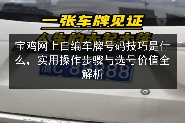 宝鸡网上自编车牌号码技巧是什么,实用操作步骤与选号价值全解析 第3张 宝鸡网上自编车牌号码技巧是什么,实用操作步骤与选号价值全解析 第3张