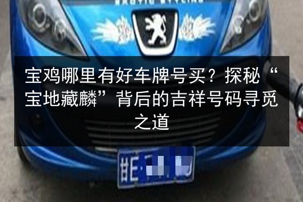 宝鸡哪里有好车牌号买？探秘“宝地藏麟”背后的吉祥号码寻觅之道 第2张