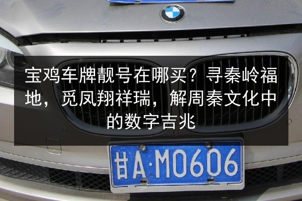 宝鸡车牌靓号在哪买？寻秦岭福地，觅凤翔祥瑞，解周秦文化中的数字吉兆 第2张