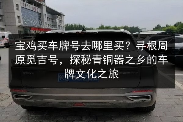宝鸡买车牌号去哪里买?寻根周原觅吉号,探秘青铜器之乡的车牌文化之旅 第2张 宝鸡买车牌号去哪里买?寻根周原觅吉号,探秘青铜器之乡的车牌文化之旅 第2张