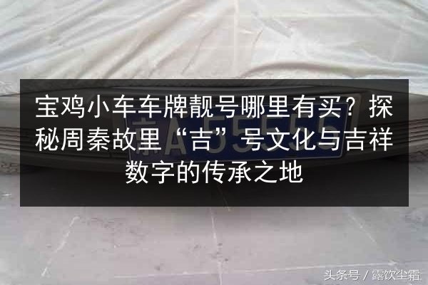 宝鸡小车车牌靓号哪里有买?探秘周秦故里“吉”号文化与吉祥数字的传承之地 第2张 宝鸡小车车牌靓号哪里有买?探秘周秦故里“吉”号文化与吉祥数字的传承之地 第2张
