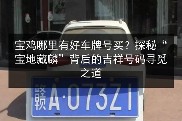 宝鸡哪里有好车牌号买？探秘“宝地藏麟”背后的吉祥号码寻觅之道 第3张