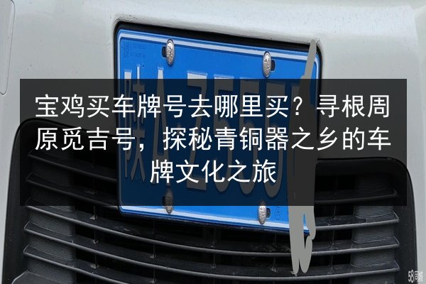 宝鸡买车牌号去哪里买?寻根周原觅吉号,探秘青铜器之乡的车牌文化之旅 第3张 宝鸡买车牌号去哪里买?寻根周原觅吉号,探秘青铜器之乡的车牌文化之旅 第3张