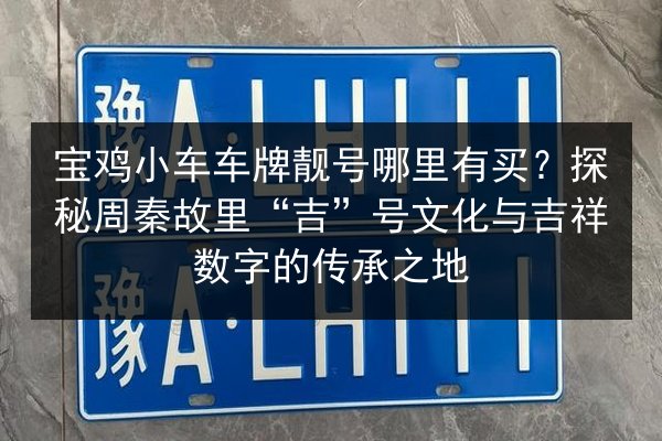 宝鸡小车车牌靓号哪里有买?探秘周秦故里“吉”号文化与吉祥数字的传承之地 第3张 宝鸡小车车牌靓号哪里有买?探秘周秦故里“吉”号文化与吉祥数字的传承之地 第3张