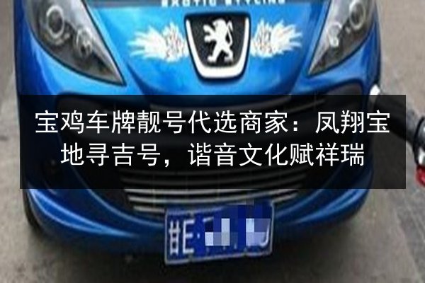 宝鸡车牌靓号代选商家:凤翔宝地寻吉号,谐音文化赋祥瑞 第1张 宝鸡车牌靓号代选商家:凤翔宝地寻吉号,谐音文化赋祥瑞 第1张