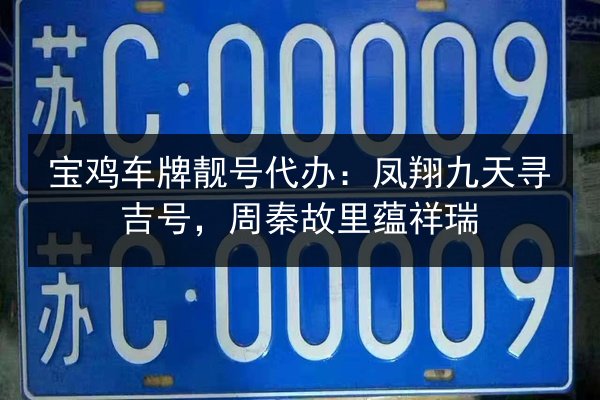 宝鸡车牌靓号代办：凤翔九天寻吉号，周秦故里蕴祥瑞