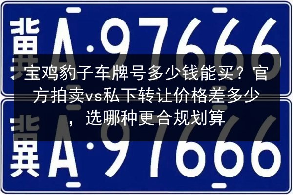 宝鸡豹子车牌号多少钱能买?官方拍卖vs私下转让价格差多少,选哪种更合规划算 第2张 宝鸡豹子车牌号多少钱能买?官方拍卖vs私下转让价格差多少,选哪种更合规划算 第2张