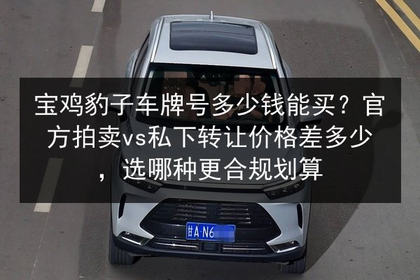 宝鸡豹子车牌号多少钱能买?官方拍卖vs私下转让价格差多少,选哪种更合规划算 第3张 宝鸡豹子车牌号多少钱能买?官方拍卖vs私下转让价格差多少,选哪种更合规划算 第3张