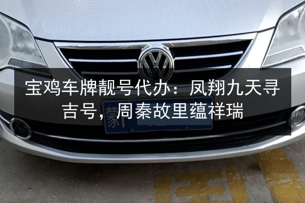 宝鸡车牌靓号代办：凤翔九天寻吉号，周秦故里蕴祥瑞 第2张