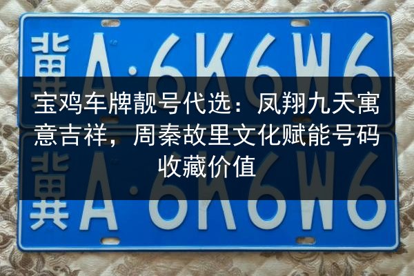 宝鸡车牌靓号代选：凤翔九天寓意吉祥，周秦故里文化赋能号码收藏价值 第2张