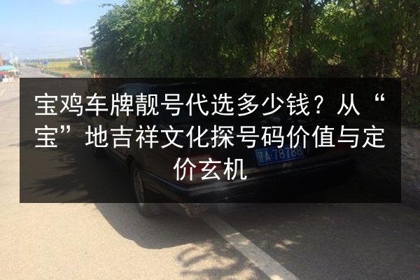 宝鸡车牌靓号代选多少钱？从“宝”地吉祥文化探号码价值与定价玄机 第3张