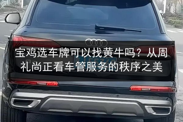 宝鸡选车牌可以找黄牛吗?从周礼尚正看车管服务的秩序之美 第3张 宝鸡选车牌可以找黄牛吗?从周礼尚正看车管服务的秩序之美 第3张