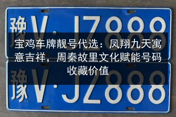 宝鸡车牌靓号代选：凤翔九天寓意吉祥，周秦故里文化赋能号码收藏价值 第3张