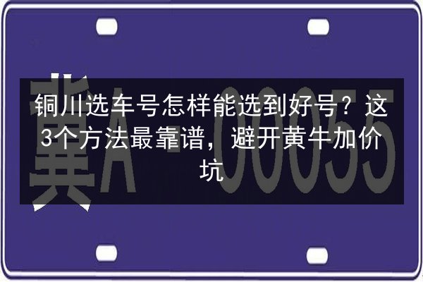 铜川选车号怎样能选到好号?这3个方法最靠谱,避开黄牛加价坑 第2张 铜川选车号怎样能选到好号?这3个方法最靠谱,避开黄牛加价坑 第2张