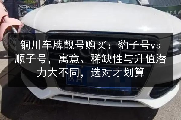 铜川车牌靓号购买:豹子号vs顺子号,寓意、稀缺性与升值潜力大不同,选对才划算 第1张 铜川车牌靓号购买:豹子号vs顺子号,寓意、稀缺性与升值潜力大不同,选对才划算 第1张