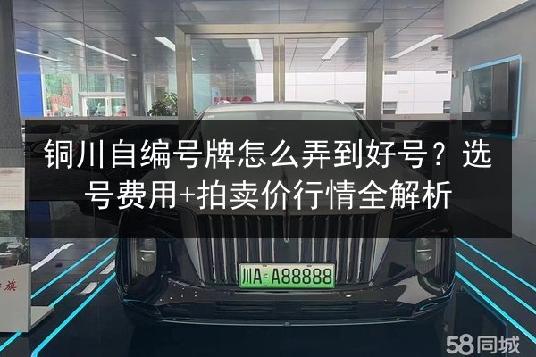 铜川自编号牌怎么弄到好号？选号费用+拍卖价行情全解析 第2张