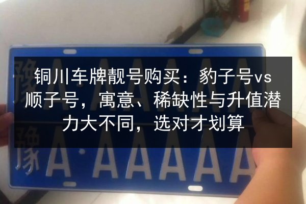 铜川车牌靓号购买:豹子号vs顺子号,寓意、稀缺性与升值潜力大不同,选对才划算 第2张 铜川车牌靓号购买:豹子号vs顺子号,寓意、稀缺性与升值潜力大不同,选对才划算 第2张