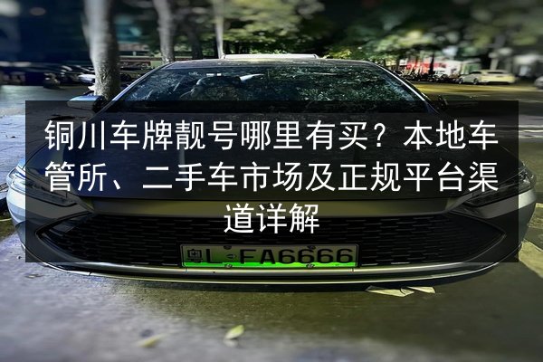 铜川车牌靓号哪里有买？本地车管所、二手车市场及正规平台渠道详解 第2张