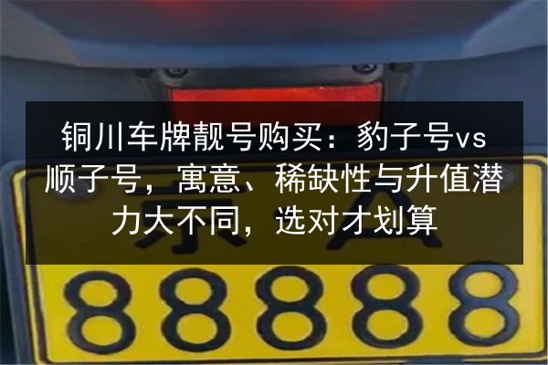 铜川车牌靓号购买:豹子号vs顺子号,寓意、稀缺性与升值潜力大不同,选对才划算 第3张 铜川车牌靓号购买:豹子号vs顺子号,寓意、稀缺性与升值潜力大不同,选对才划算 第3张