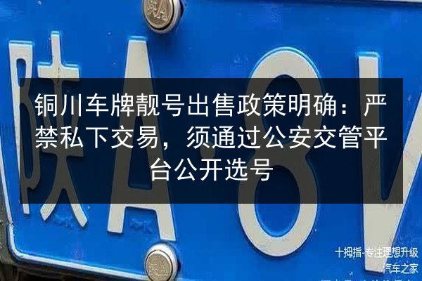 铜川车牌靓号出售政策明确:严禁私下交易,须通过公安交管平台公开选号 第3张 铜川车牌靓号出售政策明确:严禁私下交易,须通过公安交管平台公开选号 第3张