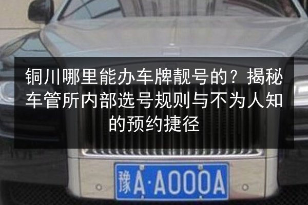 铜川哪里能办车牌靓号的?揭秘车管所内部选号规则与不为人知的预约捷径 第2张 铜川哪里能办车牌靓号的?揭秘车管所内部选号规则与不为人知的预约捷径 第2张