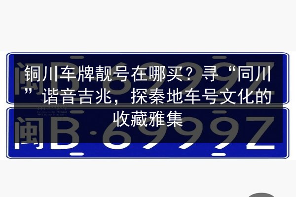 铜川车牌靓号在哪买？寻“同川”谐音吉兆，探秦地车号文化的收藏雅集 第2张
