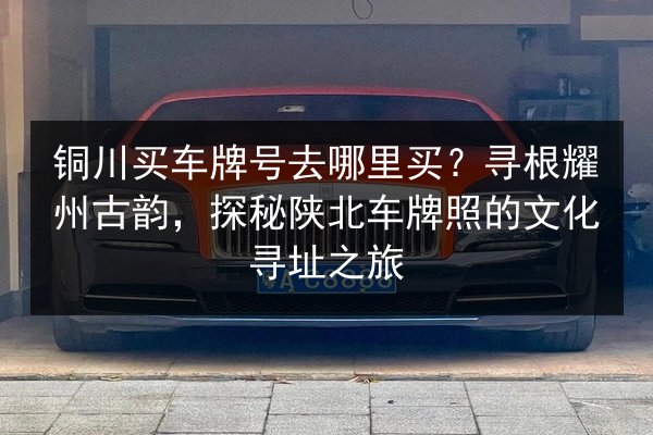 铜川买车牌号去哪里买?寻根耀州古韵,探秘陕北车牌照的文化寻址之旅 第3张 铜川买车牌号去哪里买?寻根耀州古韵,探秘陕北车牌照的文化寻址之旅 第3张