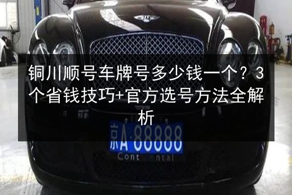 铜川顺号车牌号多少钱一个?3个省钱技巧+官方选号方法全解析 第2张 铜川顺号车牌号多少钱一个?3个省钱技巧+官方选号方法全解析 第2张